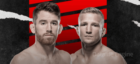 Corey Sandhagen vs T. J. Dillashaw fight Forecast