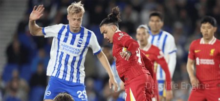 Liverpool vs Brighton